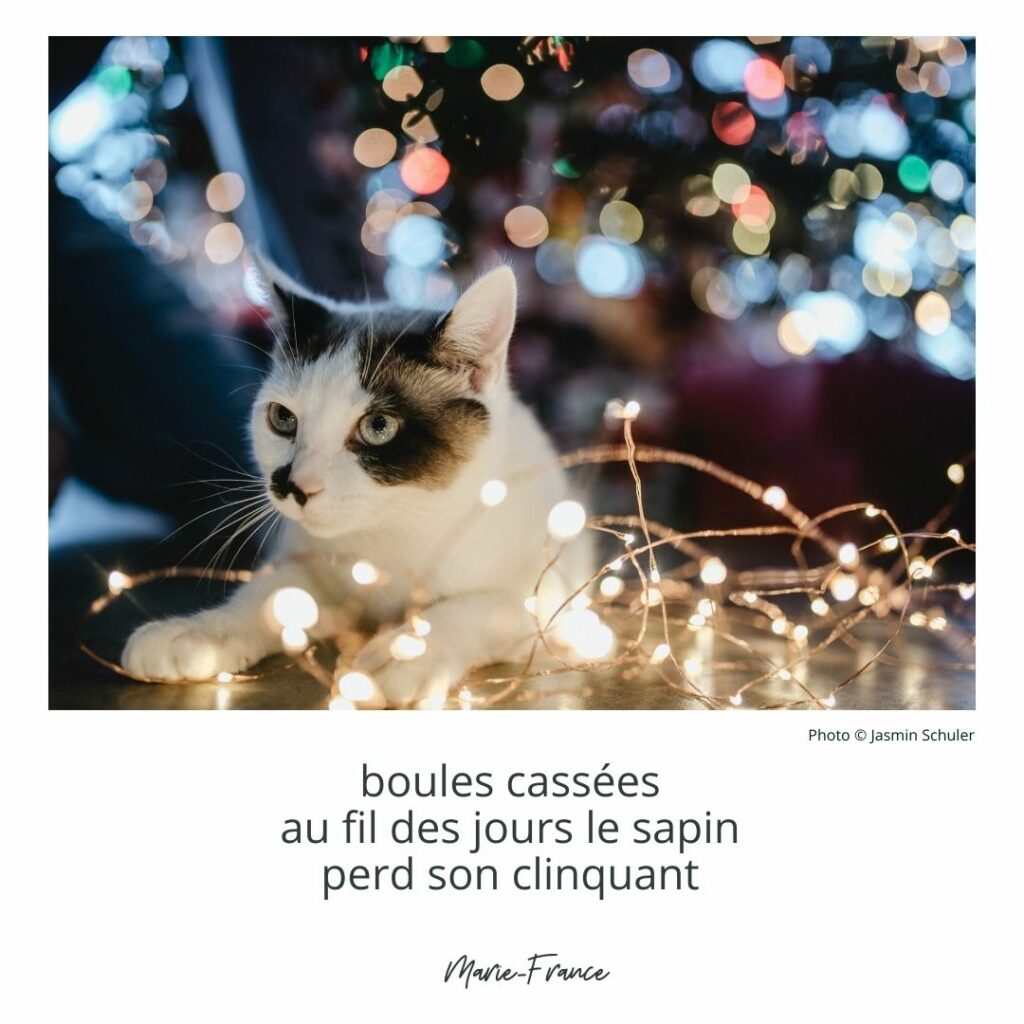 boules cassées
au fil des jours le sapin
perd son clinquant