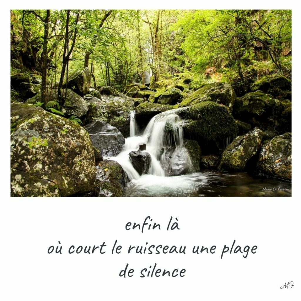 enfin là
où court le ruisseau une plage
de silence