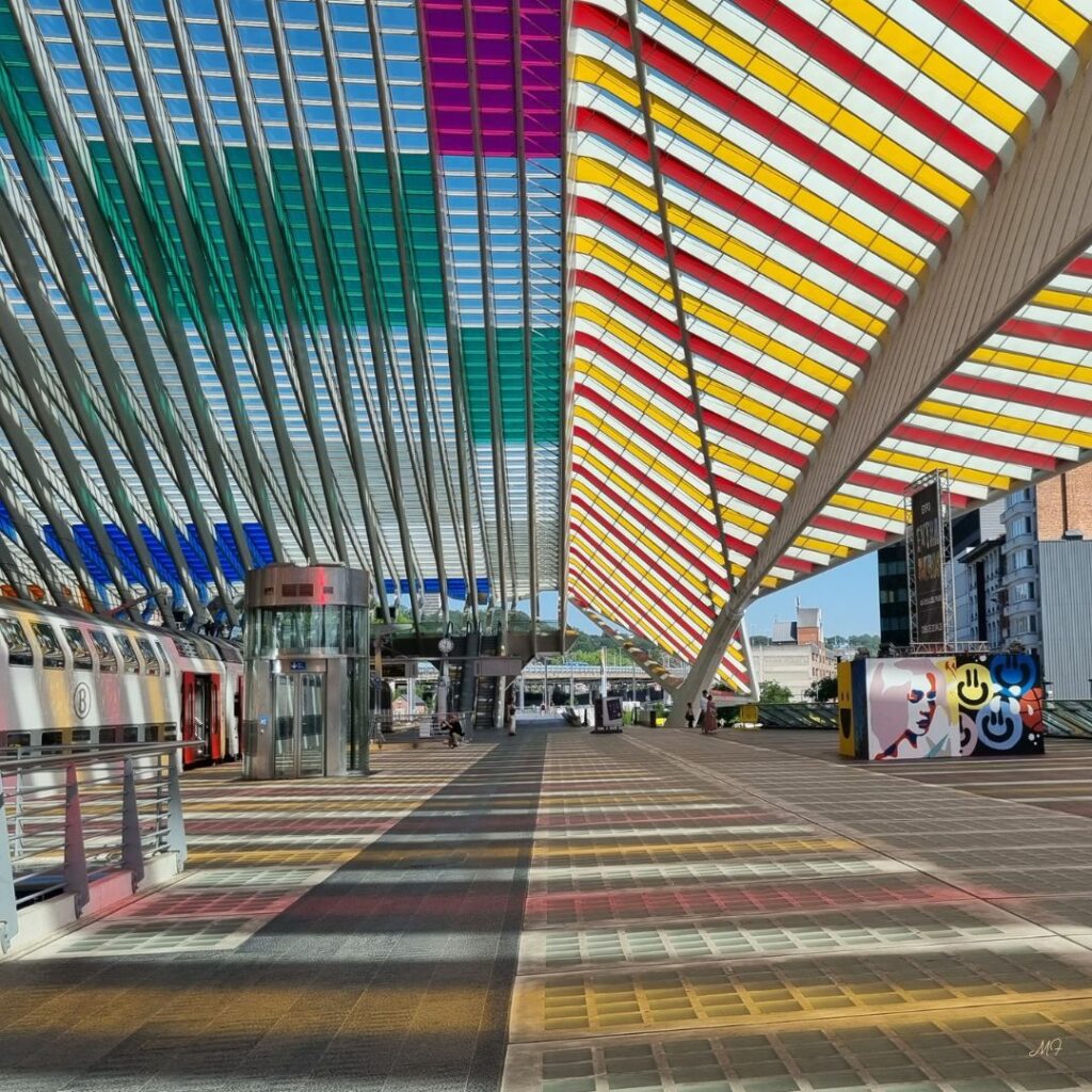 Gare des Guillemins 